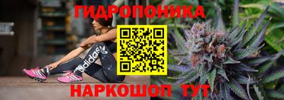 mix Кингисепп