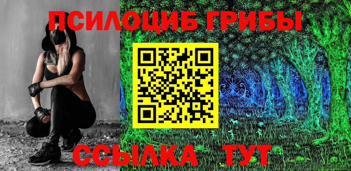 Галлюциногенные грибы Psilocybe Конаково